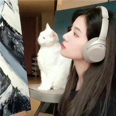 失败之翼
