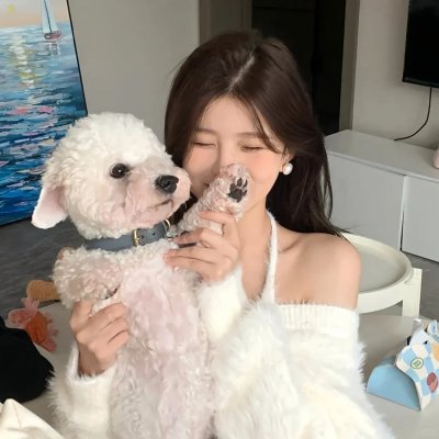 飞天小女警第五季